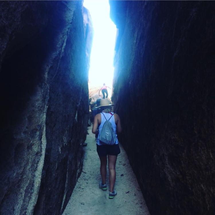 18738638_674338065376_8710603424776746512_o